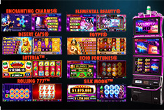 Offer slot players exhilarating gaming experience with 8 thrilling hit games: all time classic WMS slot hits, fruit themed games and Echo Fortunes® with strong progressive excitement of multi-leveled Duo Fu Do Cai jackpots.